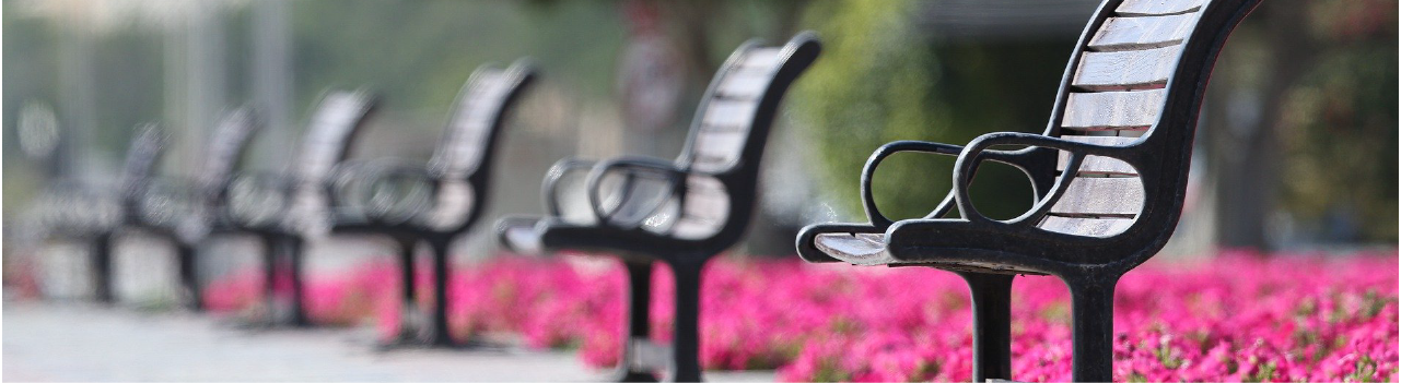 COVID-19 and libraries: empty park benches