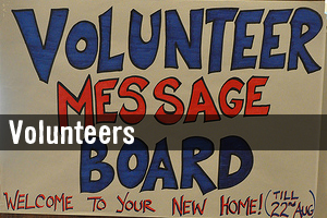 Volunteers everywhere