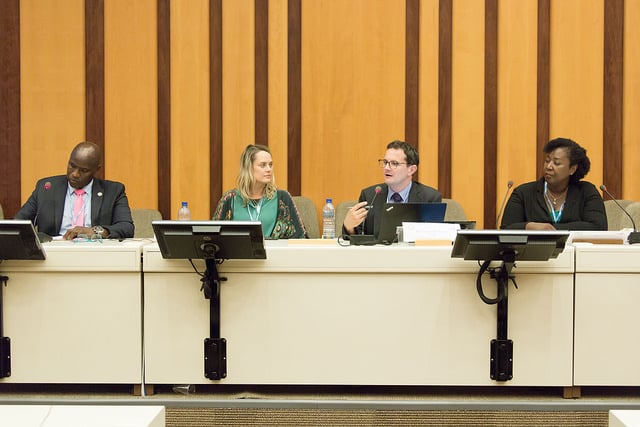 IFLA discussing how libraries can support access to information in Small Island Developing States