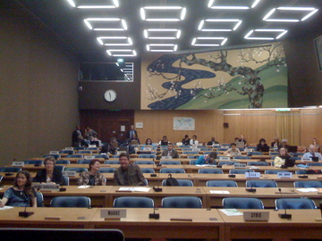 Audience at Libraries Driving Access to Knowledge, ITU, Geneva, May 21st 2009