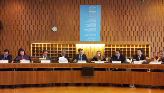 IFLA panel at WSIS +10 Review meeting, Paris, 2013