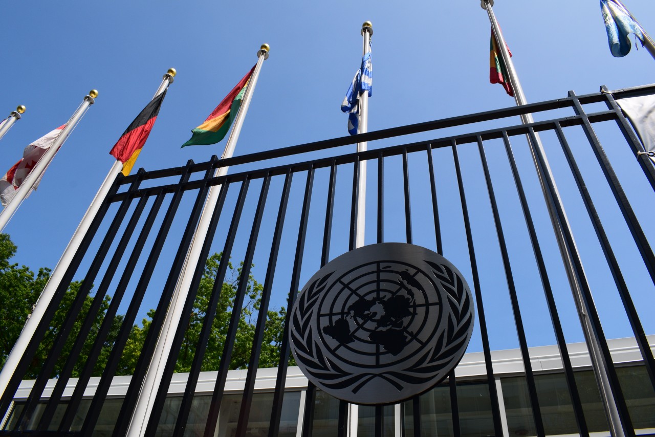 IFLA at the United Nations High Level Political Forum - UN Building with flags