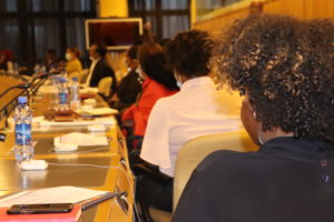 Addis Ababa Side Event at the African UN Youth Summit 4 300x200