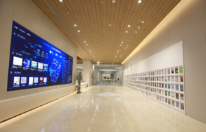 Electronic Screen and Periodical Wall