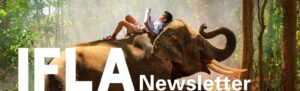 Newsletter, February 2024: the culture and education issue