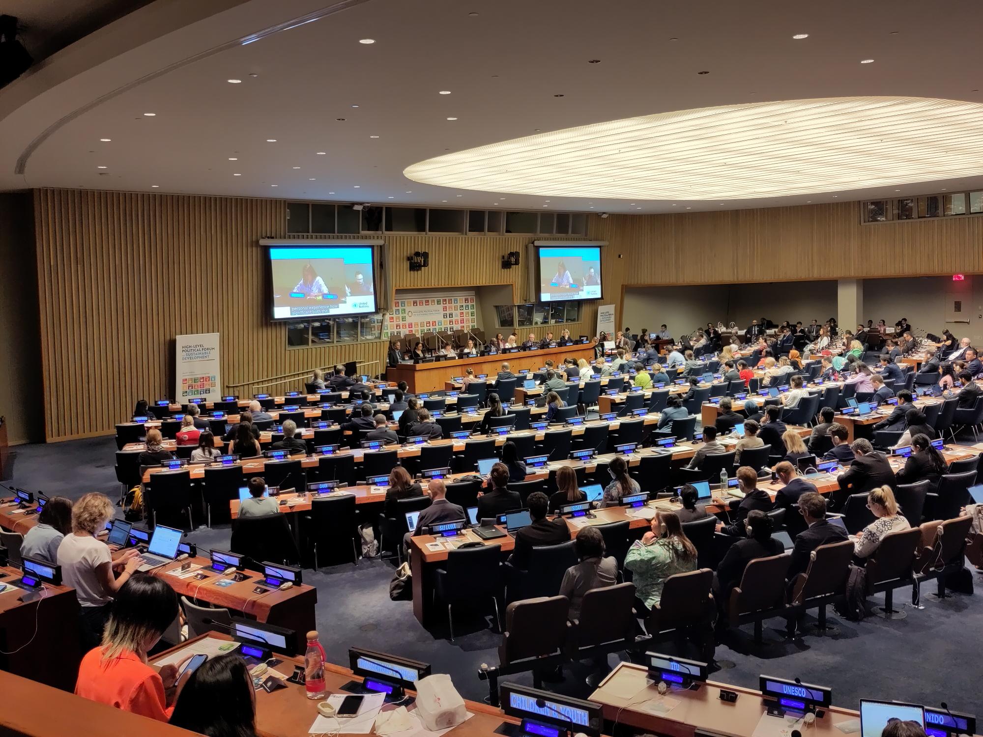 HLPF Magda speaking 1 Picture of a conference room with delegates in rows. There is a group also on the stage, and two screens, which are showing Magda speaking