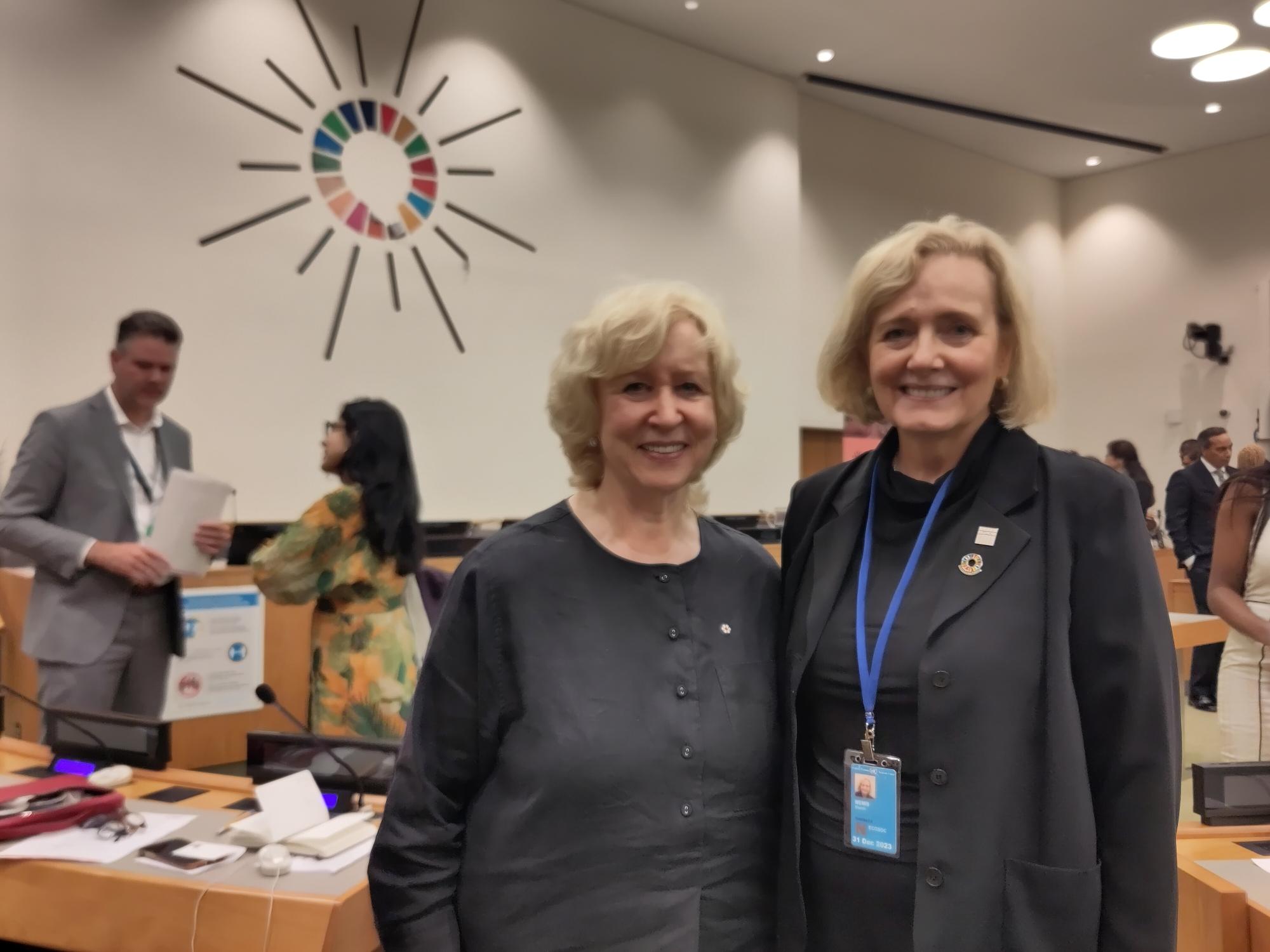 Kim Campbell Picture of two women in a conference room, with an SDG wheel on the wall behind