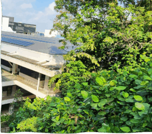 Source: Photographed by Siu Chen, NUS Libraries