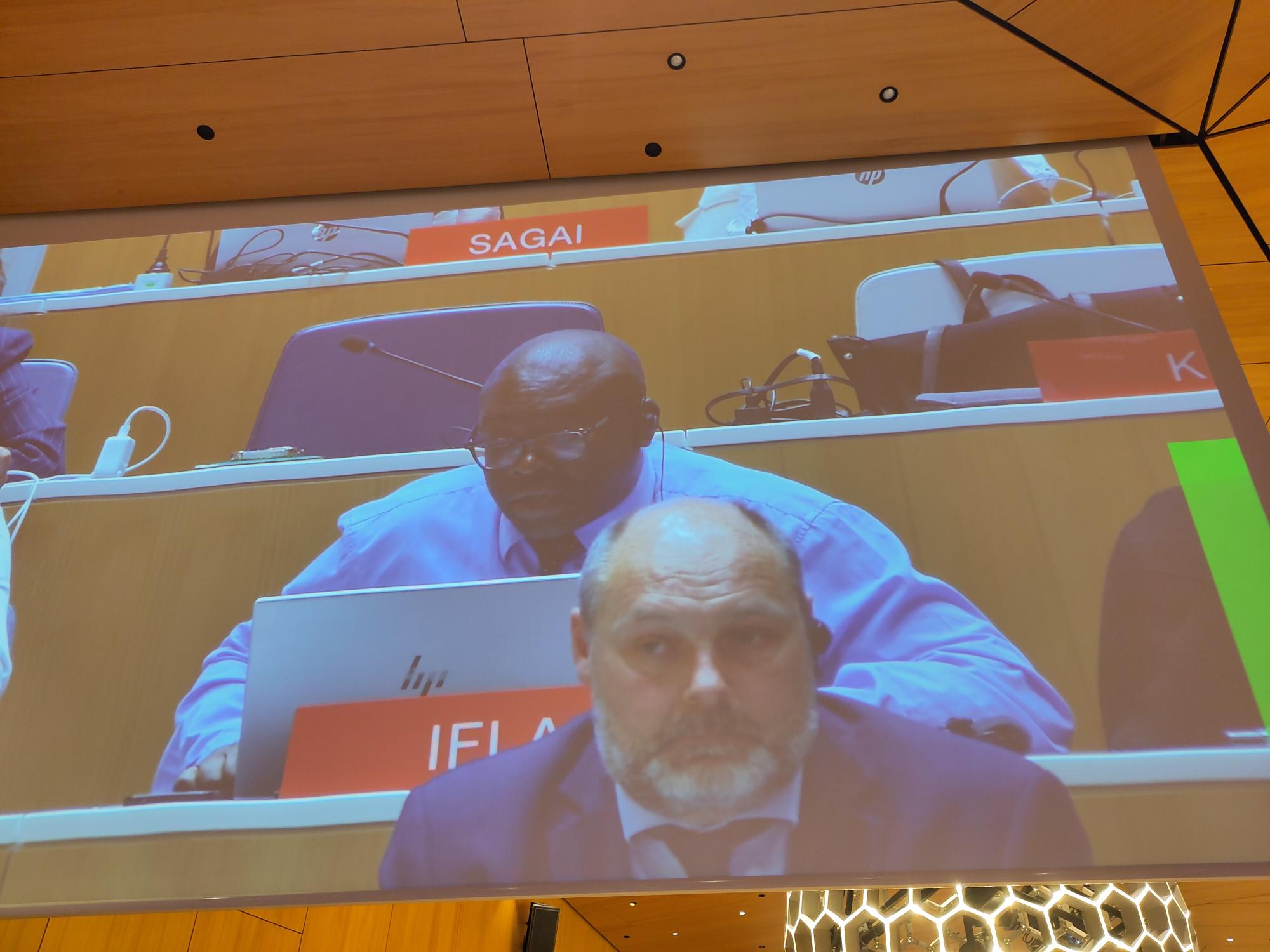 Screen showing an African man speaking into a microphone
