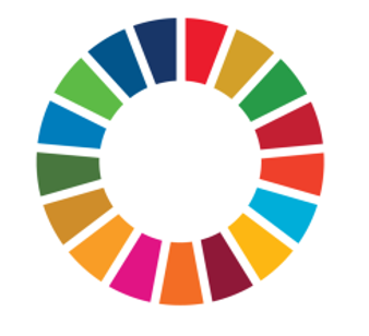 SDG Wheel SDG Wheel