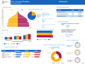 UNESCO Literacy Factsheet - Indonesia