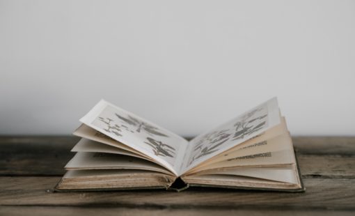 Copyright and access to knowledge
