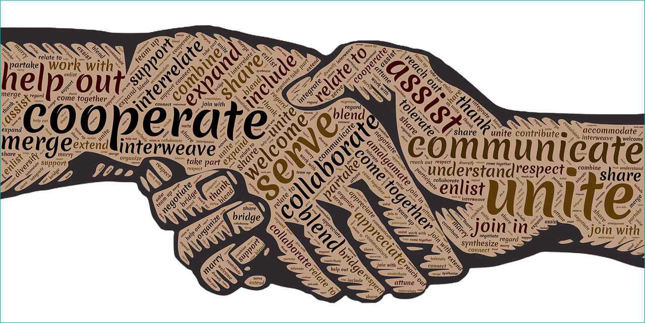 IFLAPARL's strengths lie in partnerships and networking.