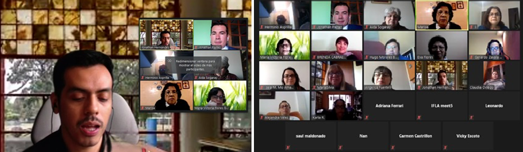 IFLA LAC Section + IFLA Strategy