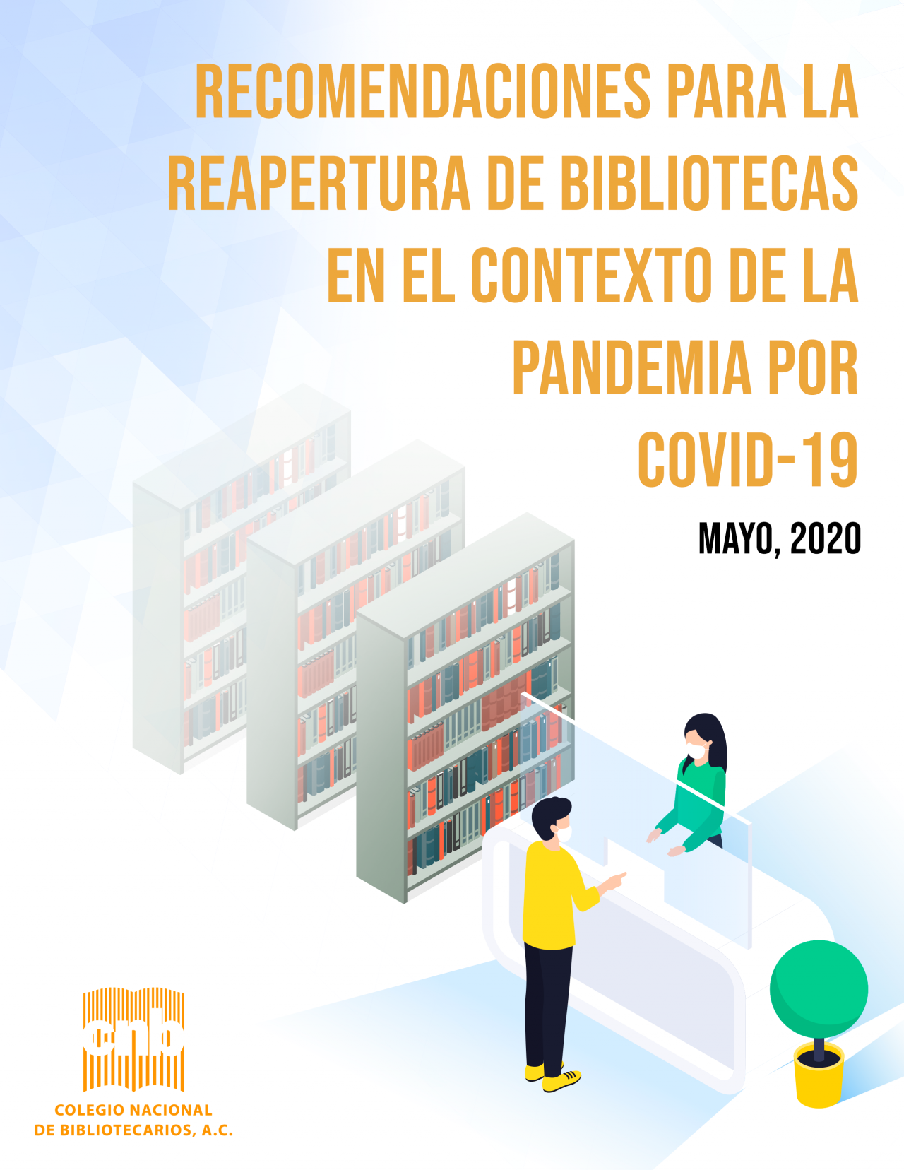 Mexico + IFLA Strategy